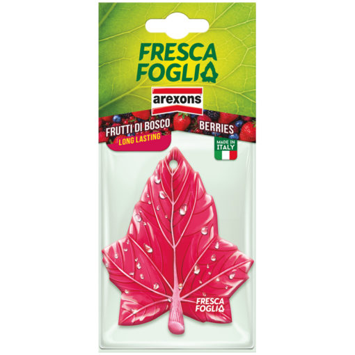 fresca foglia frutti di bosco