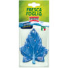 fresca foglia ocean